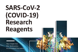 Pamphlet - SARS-CoV-2 (COVID-19) Research Reagents