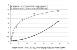 SARS-CoV-2 (COVID-19) Spike (ECD) Protein, Omicron / BA.4 / BA.5 variant, His tag. GTX137113-pro